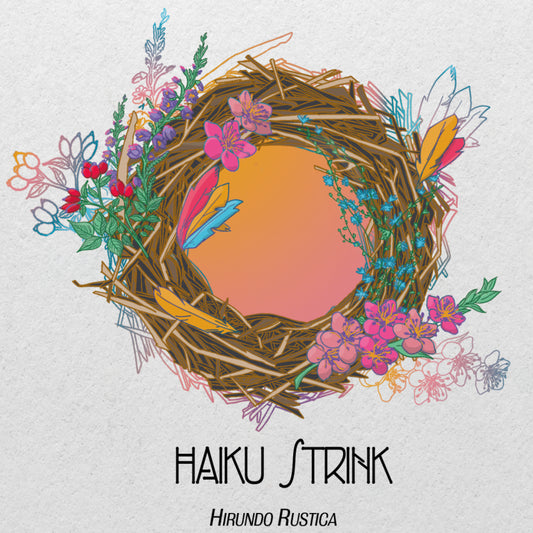 Pochette de : HIRUNDO RUSTICA - HAIKU STRINK (CD)