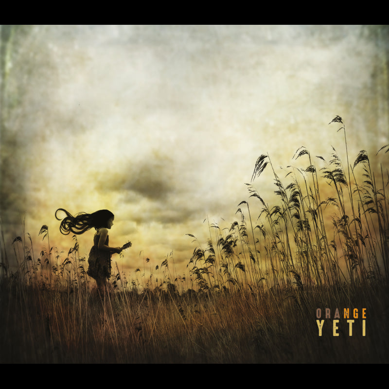 Pochette de : ORANGE YETI - ORANGE YETI (33T)