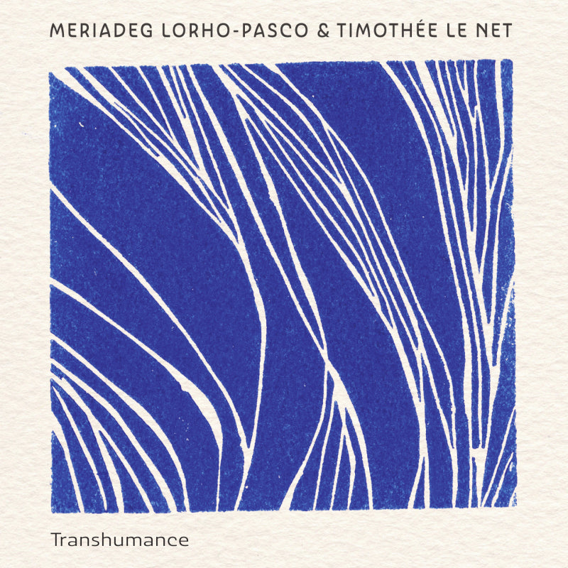 Pochette de : TRANSHUMANCE - MERIADEG LORHO PASCO / TIMOTHEE LE NET (CD)